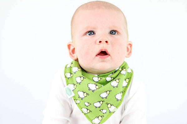 Farmyard Fun Bib Set